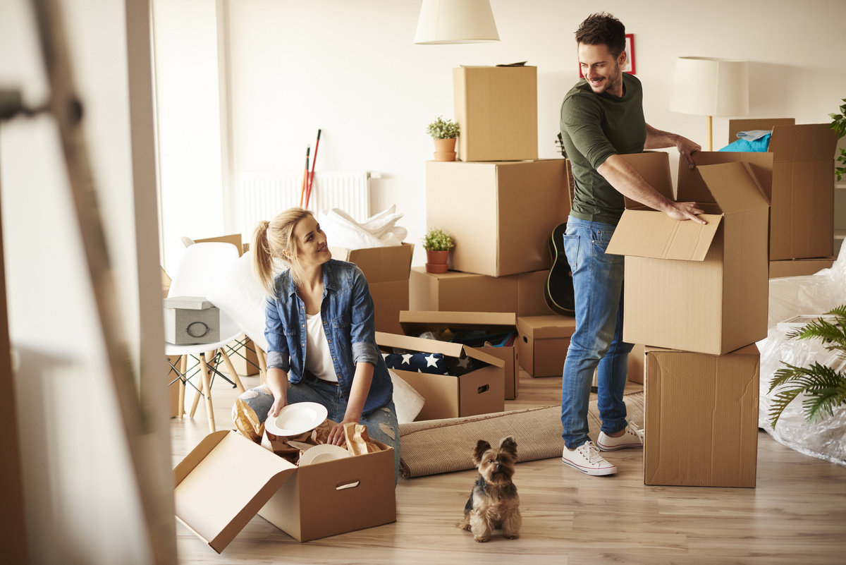 Umzug & Formalitäten in Mannheim – Checklisten, Tipps und Services