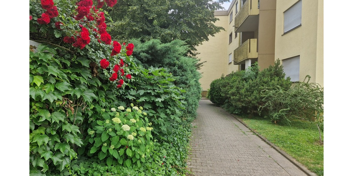 Stilvolle 3-Zimmer-Eigentumswohnung mit Loggia, Tiefgaragenstellplatz und offenem Kamin - 3- Weinheim | Angebot:27022818